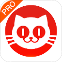 猫眼票房专业版
