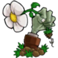 植物大战僵尸海克斯大乱斗版