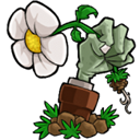 植物大战僵尸海斗版