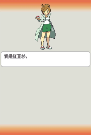 口袋妖怪白2中文版