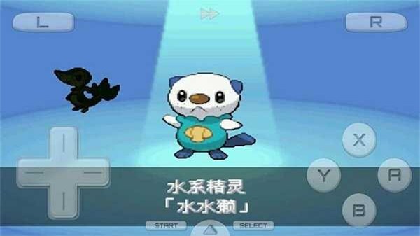 口袋妖怪白2中文版