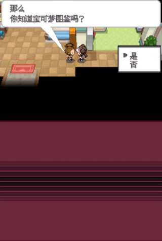 口袋妖怪白2中文版