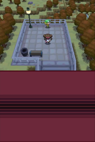 口袋妖怪白2中文版