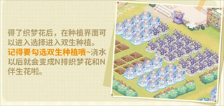织梦森林游戏