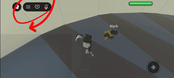 roblox国际版