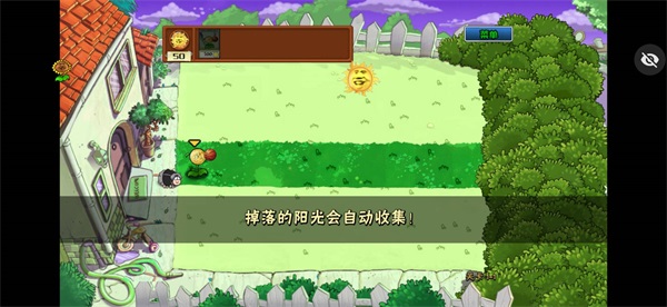 植物大战僵尸ikun版截图8