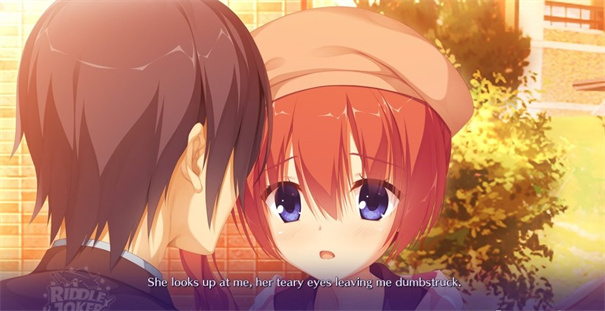 谜语小丑冷狐版截图1