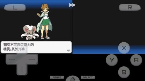 口袋妖怪黑白2汉化版截图3