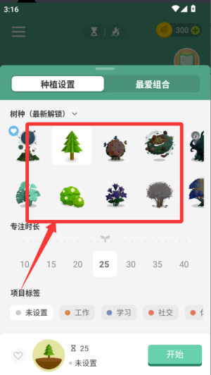 专注森林旧版本