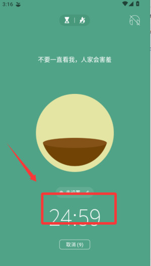 专注森林旧版本