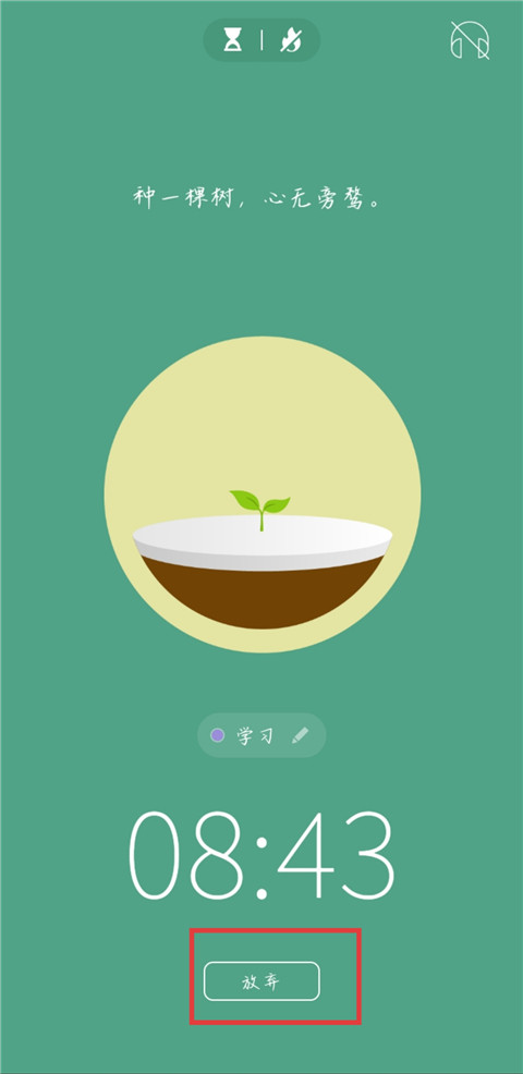 专注森林旧版本