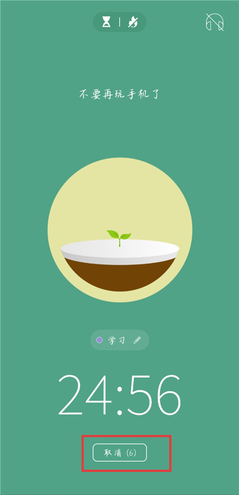 专注森林旧版本