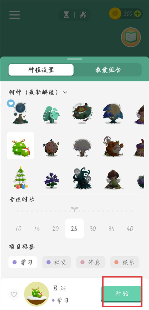 专注森林旧版本