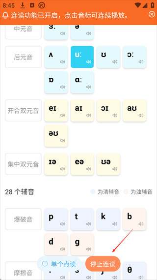 英语音标app