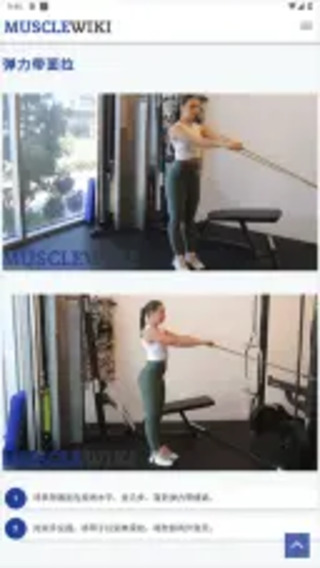 musclewiki中文版