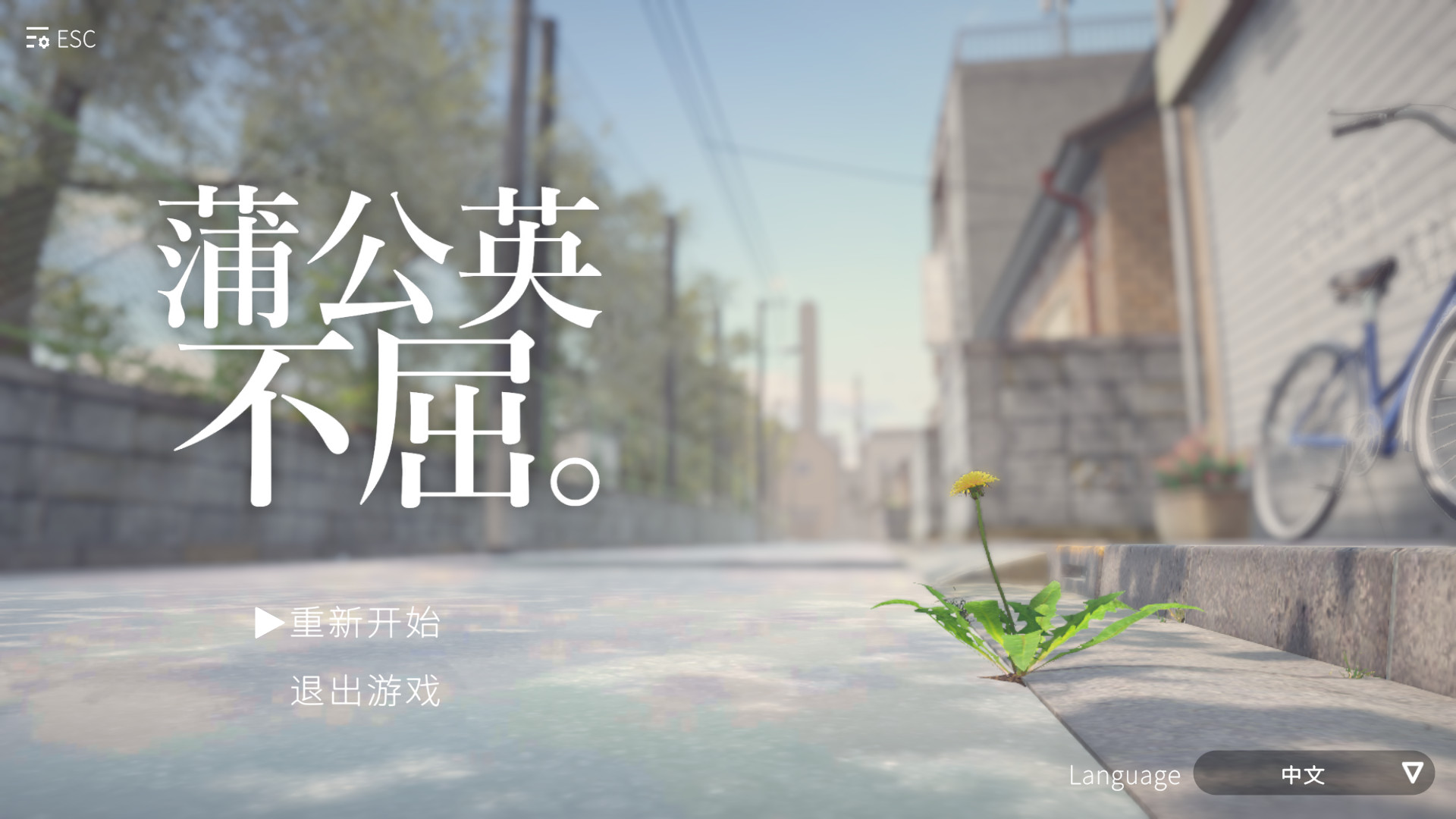 蒲公英不屈手机版