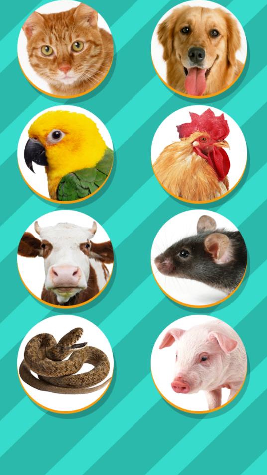 鸟语翻译器截图3