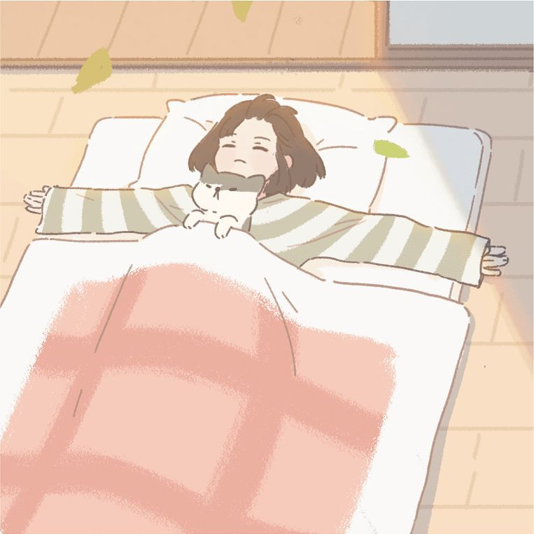 遇见你的猫无限爱心版