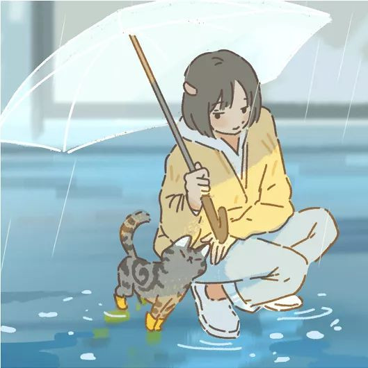 遇见你的猫无限爱心版