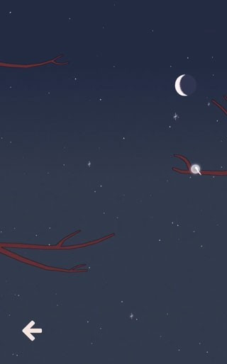 孤独的鸟儿完整版