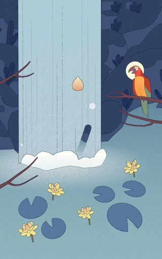 孤独的鸟儿完整版