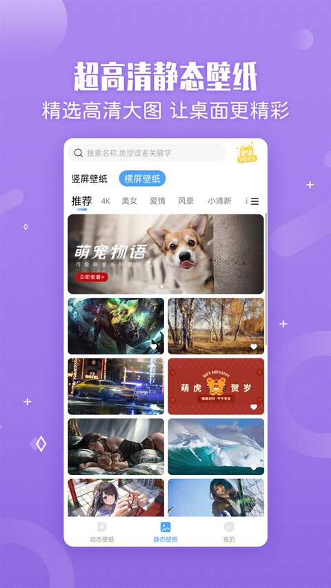 小鸟壁纸手机版截图2