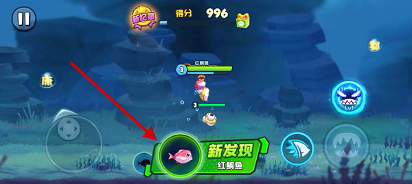 鱼吃鱼游戏