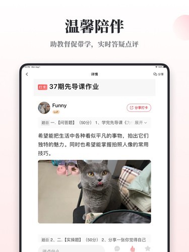 兴趣岛截图1