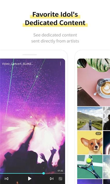lysn国际版截图3