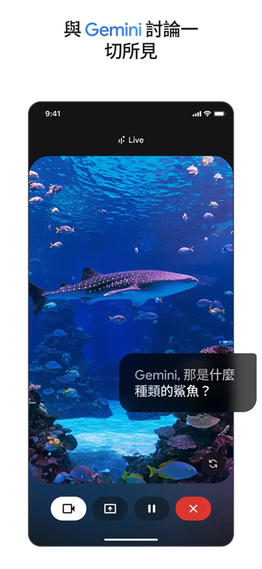 gemini截图4