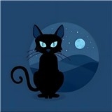 夜猫子直装版